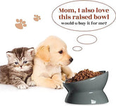KUTKUT Set of 2 Pcs Elevated Cat and Small Dog Food and Water Bowl Set, Tilted Elevated Cat Food Bowls No Spill, Ceramic Cat Food Feeder Bowl Collection, Pet Bowl for Flat-Faced Cats and Small Dogs